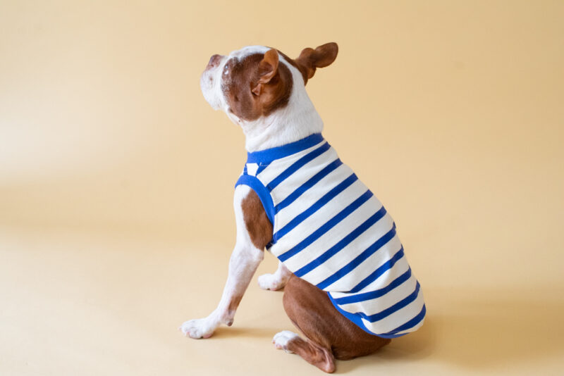 【LittleA】BORDER Tanktop【Blue*Ow】 - 画像 (4)