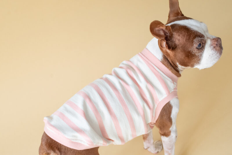 【LittleA】BORDER Tanktop【Pink*Ow】 - 画像 (5)