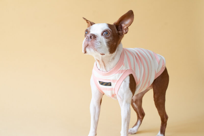 【LittleA】BORDER Tanktop【Pink*Ow】 - 画像 (4)