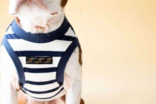 【LittleA】BORDER Tanktop【Navy*Ow】 - 画像 (11)