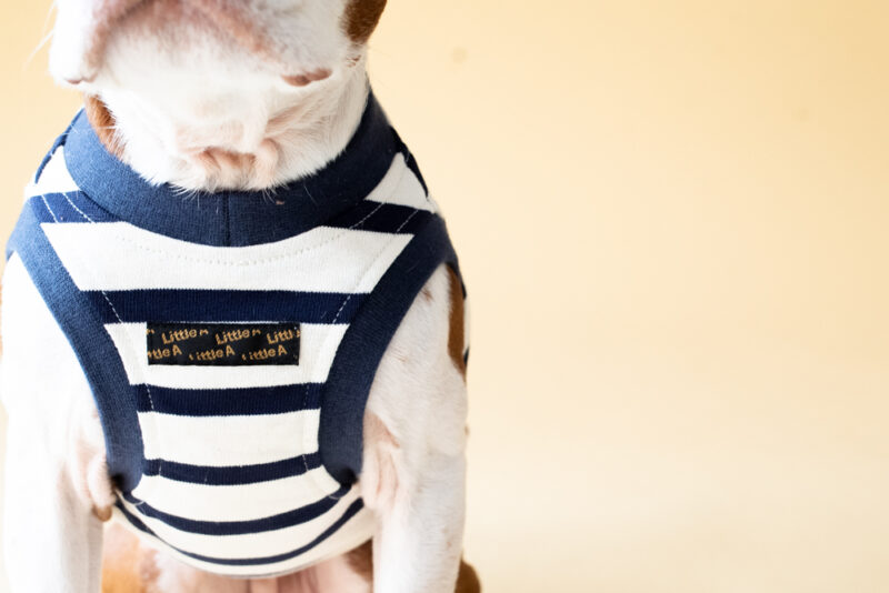 【LittleA】BORDER Tanktop【Navy*Ow】 - 画像 (11)