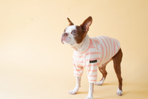 【LittleA】BORDER TEE【Pink*Ow】 - 画像 (5)