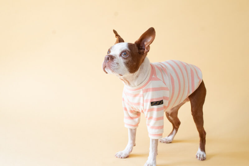 【LittleA】BORDER TEE【Pink*Ow】 - 画像 (5)