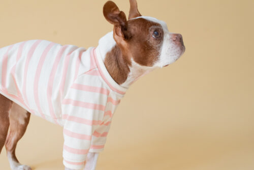 【LittleA】BORDER TEE【Pink*Ow】 - 画像 (2)