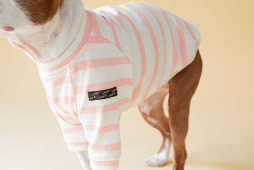 【LittleA】BORDER TEE【Pink*Ow】 - 画像 (4)