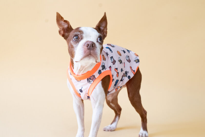 【LittleA】Anti Mosquito Tanktop