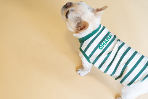 【LittleA】BORDER Tanktop【Green*Ow】 - 画像 (8)