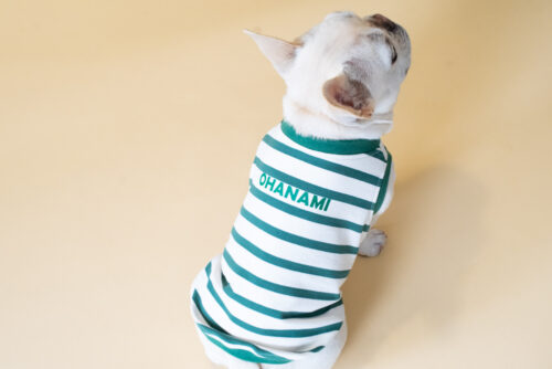 【LittleA】BORDER Tanktop【Green*Ow】 - 画像 (9)