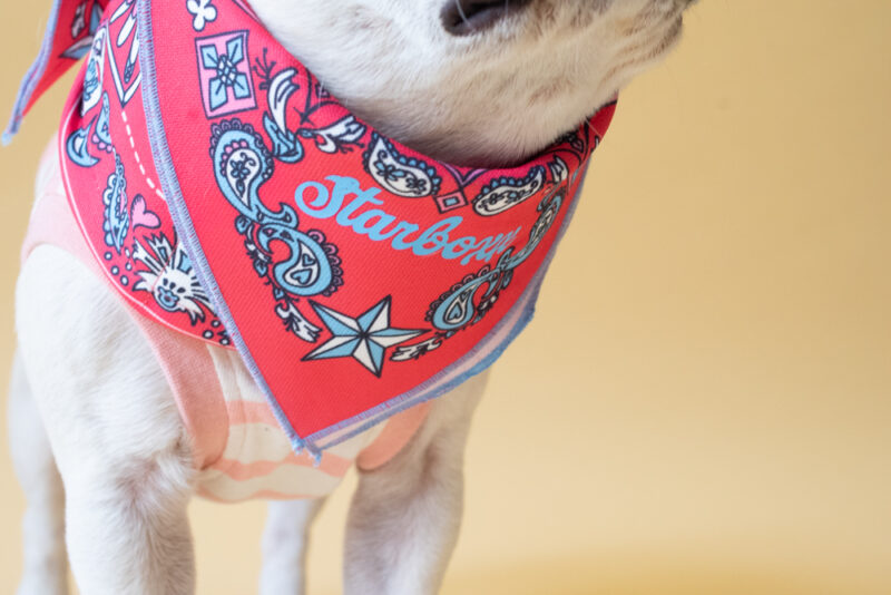 BANDANA SNOOD【RED】 - 画像 (7)