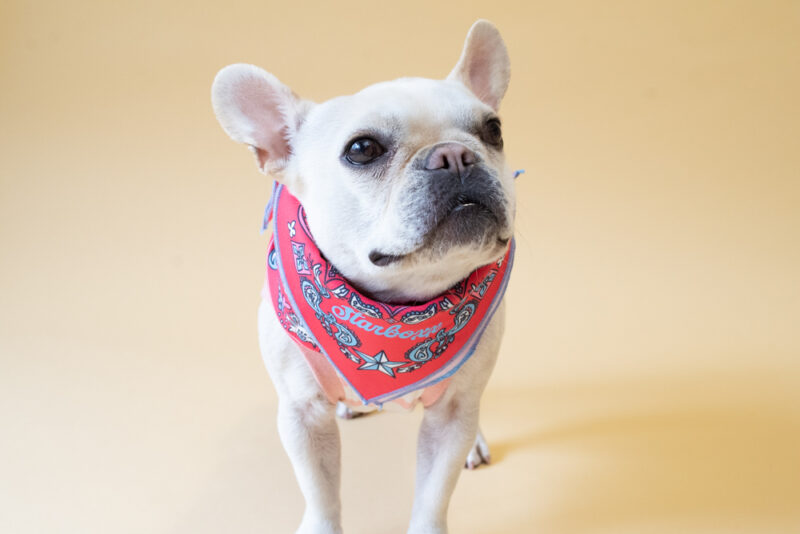 BANDANA SNOOD【RED】 - 画像 (5)