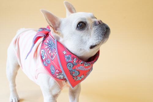 BANDANA SNOOD【RED】 - 画像 (4)