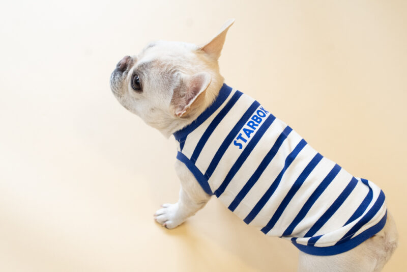 【LittleA】BORDER Tanktop【Blue*Ow】 - 画像 (5)