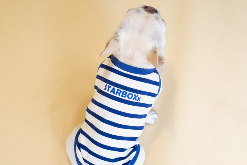 【LittleA】BORDER Tanktop【Blue*Ow】 - 画像 (6)