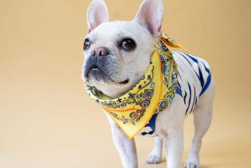 BANDANA SNOOD【YEW】 - 画像 (7)