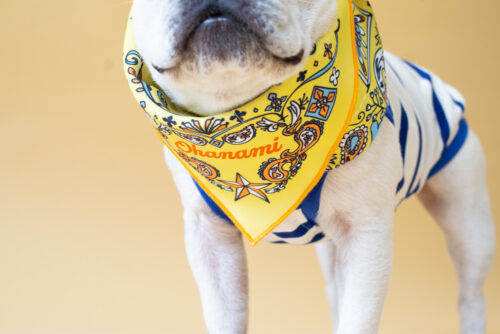 BANDANA SNOOD【YEW】 - 画像 (6)