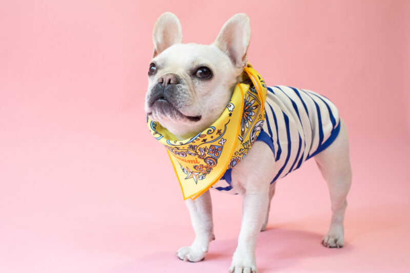 BANDANA SNOOD【YEW】 - 画像 (5)