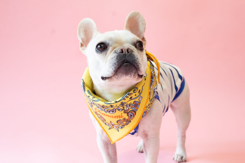 BANDANA SNOOD【YEW】 - 画像 (4)