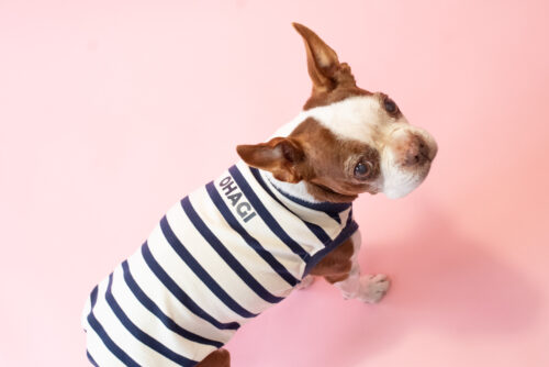 【LittleA】BORDER Tanktop【Navy*Ow】 - 画像 (6)