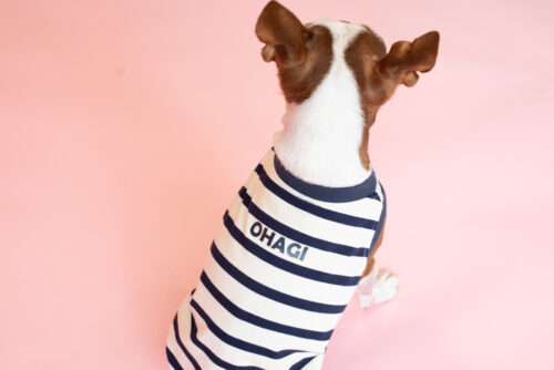 【LittleA】BORDER Tanktop【Navy*Ow】 - 画像 (5)