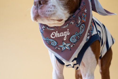 BANDANA SNOOD【BRN】 - 画像 (5)