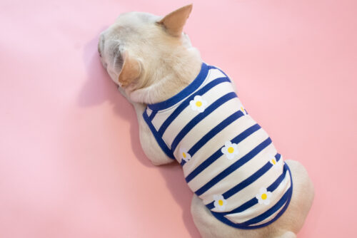 【LittleA】BORDER Tanktop【Blue*Ow】 - 画像 (8)