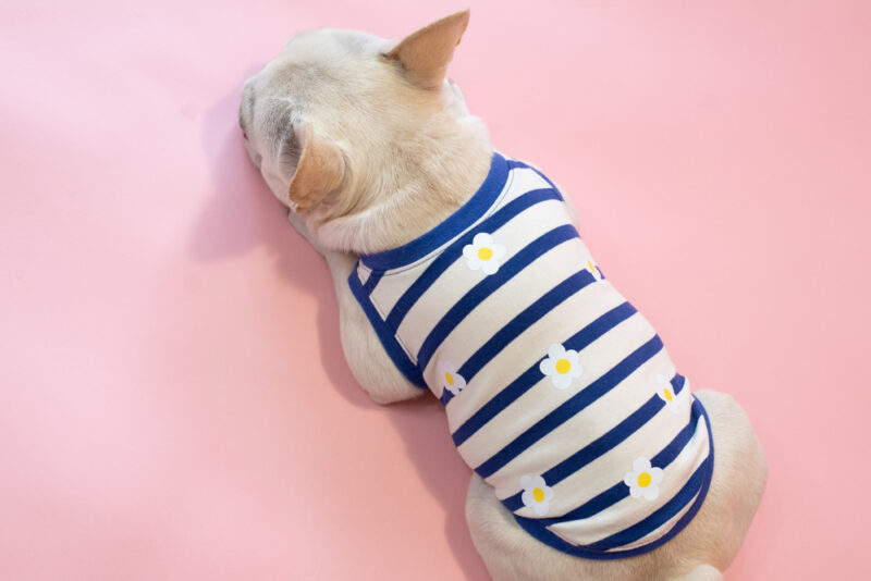 【LittleA】BORDER Tanktop【Blue*Ow】 - 画像 (8)