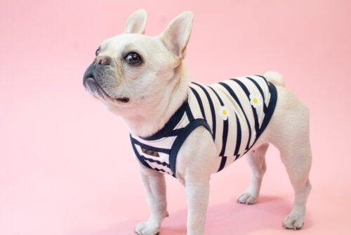 【LittleA】BORDER Tanktop【Navy*Ow】 - 画像 (9)