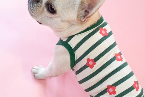 【LittleA】BORDER Tanktop【Green*Ow】 - 画像 (4)