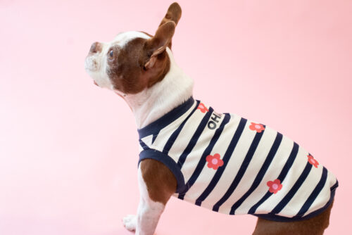 【LittleA】BORDER Tanktop【Navy*Ow】 - 画像 (2)