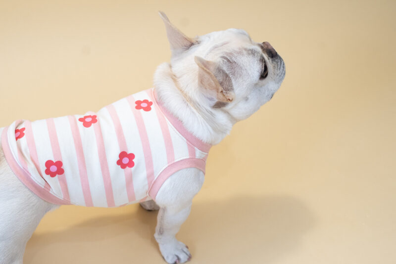 【LittleA】BORDER Tanktop【Pink*Ow】 - 画像 (7)