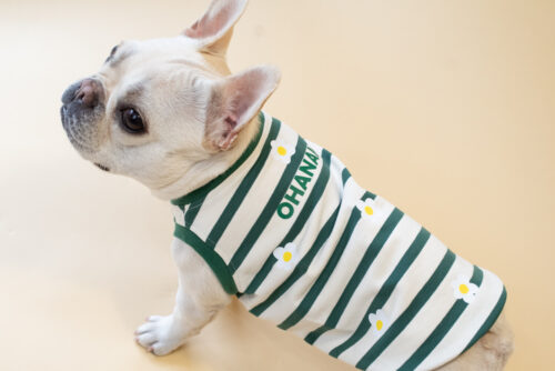 【LittleA】BORDER Tanktop【Green*Ow】 - 画像 (2)