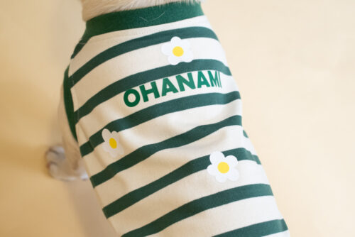 【LittleA】BORDER Tanktop【Green*Ow】 - 画像 (10)