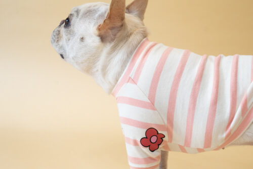 【LittleA】BORDER TEE【Pink*Ow】 - 画像 (6)