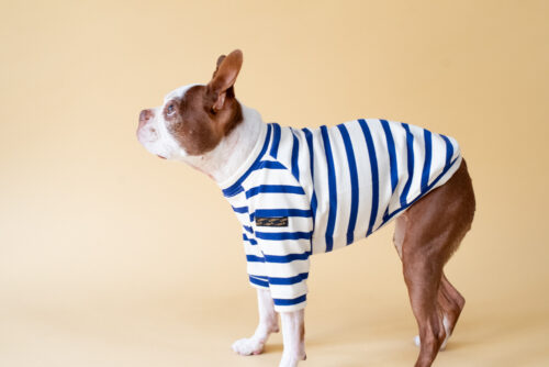 【LittleA】BORDER TEE【Blue*Ow】 - 画像 (3)