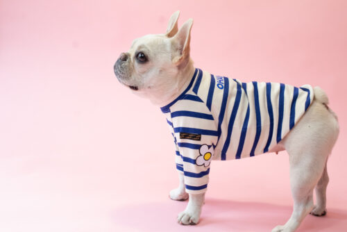 【LittleA】BORDER TEE【Blue*Ow】 - 画像 (2)