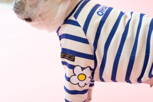 【LittleA】BORDER TEE【Blue*Ow】 - 画像 (4)
