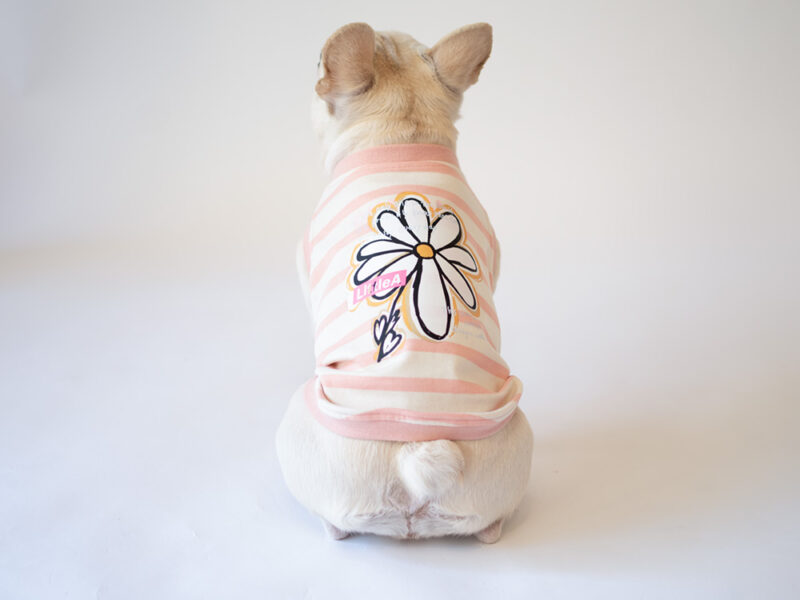 【LittleA】BIG A FLOWER TANKTOP for dog【Pink*Ow】 - 画像 (2)