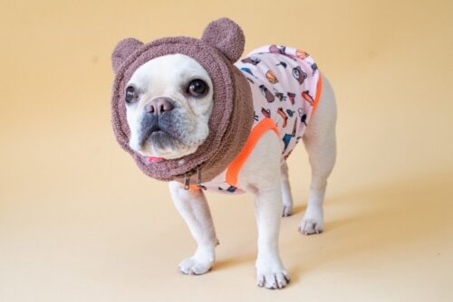 HIEHIEKUMASAN【KUROKUMASAN】 - 画像 (3)