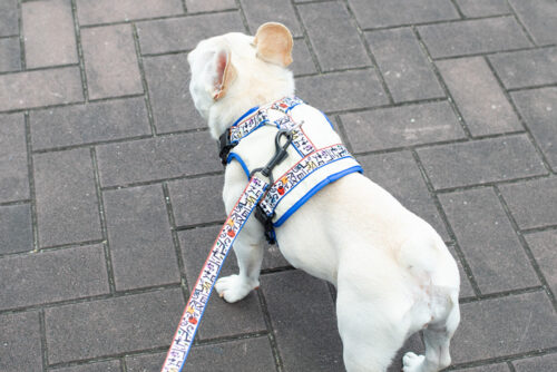 transform harness VEST【SKETCH】 - 画像 (4)