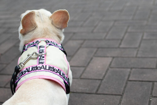 transform harness VEST【Frame】