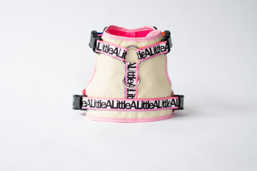 transform harness VEST【Frame】 - 画像 (2)