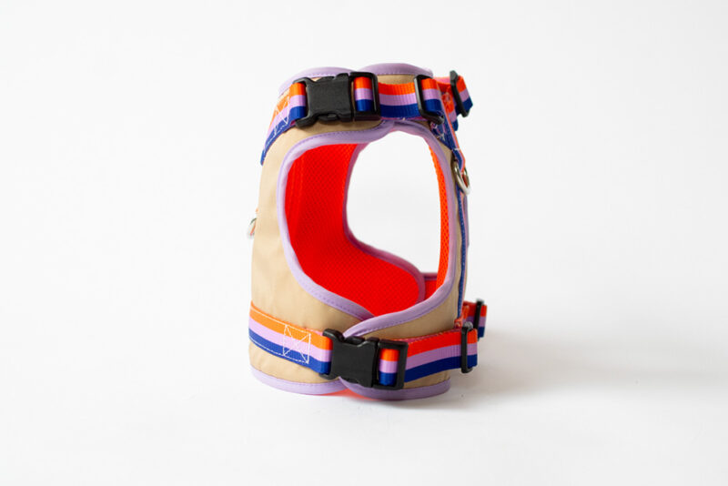 transform harness VEST【Gummy】 - 画像 (13)