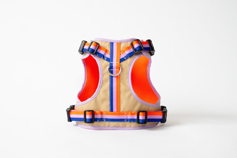 transform harness VEST【Gummy】 - 画像 (12)