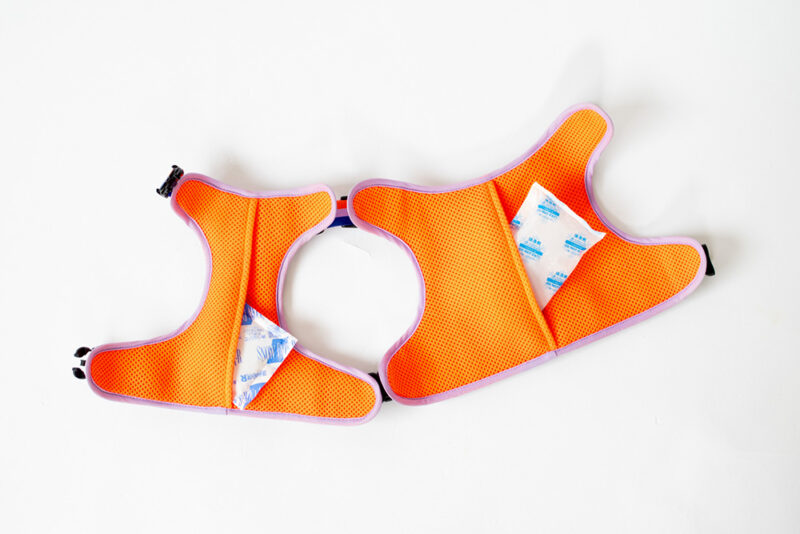 transform harness VEST【Gummy】 - 画像 (9)