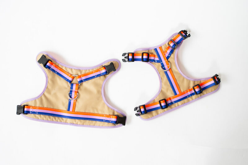 transform harness VEST【Gummy】 - 画像 (8)