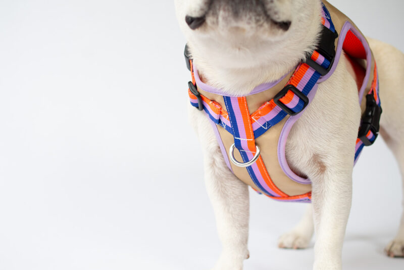 transform harness VEST【Gummy】 - 画像 (5)