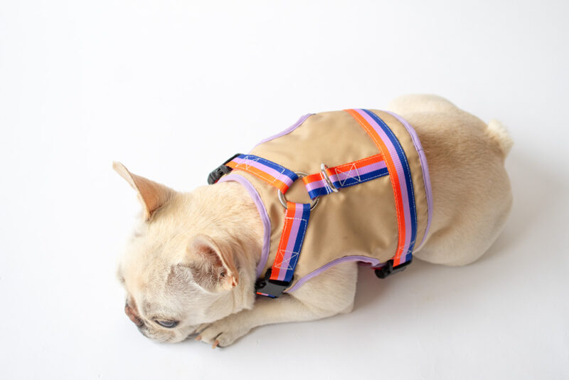 transform harness VEST【Gummy】 - 画像 (3)