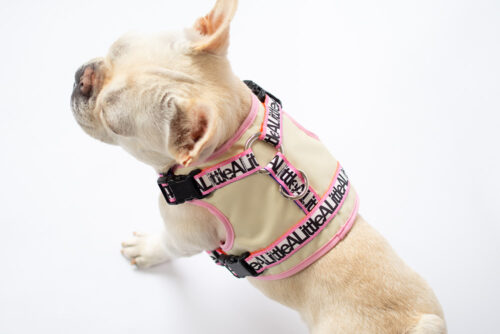 transform harness VEST【Frame】 - 画像 (7)