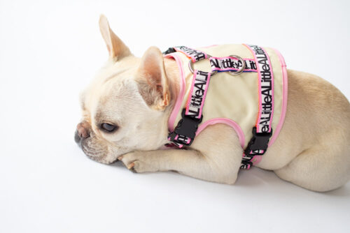transform harness VEST【Frame】 - 画像 (9)