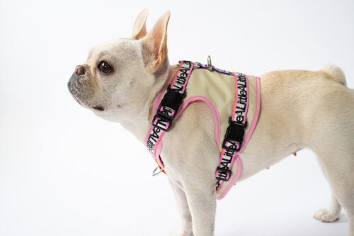 transform harness VEST【Frame】 - 画像 (6)